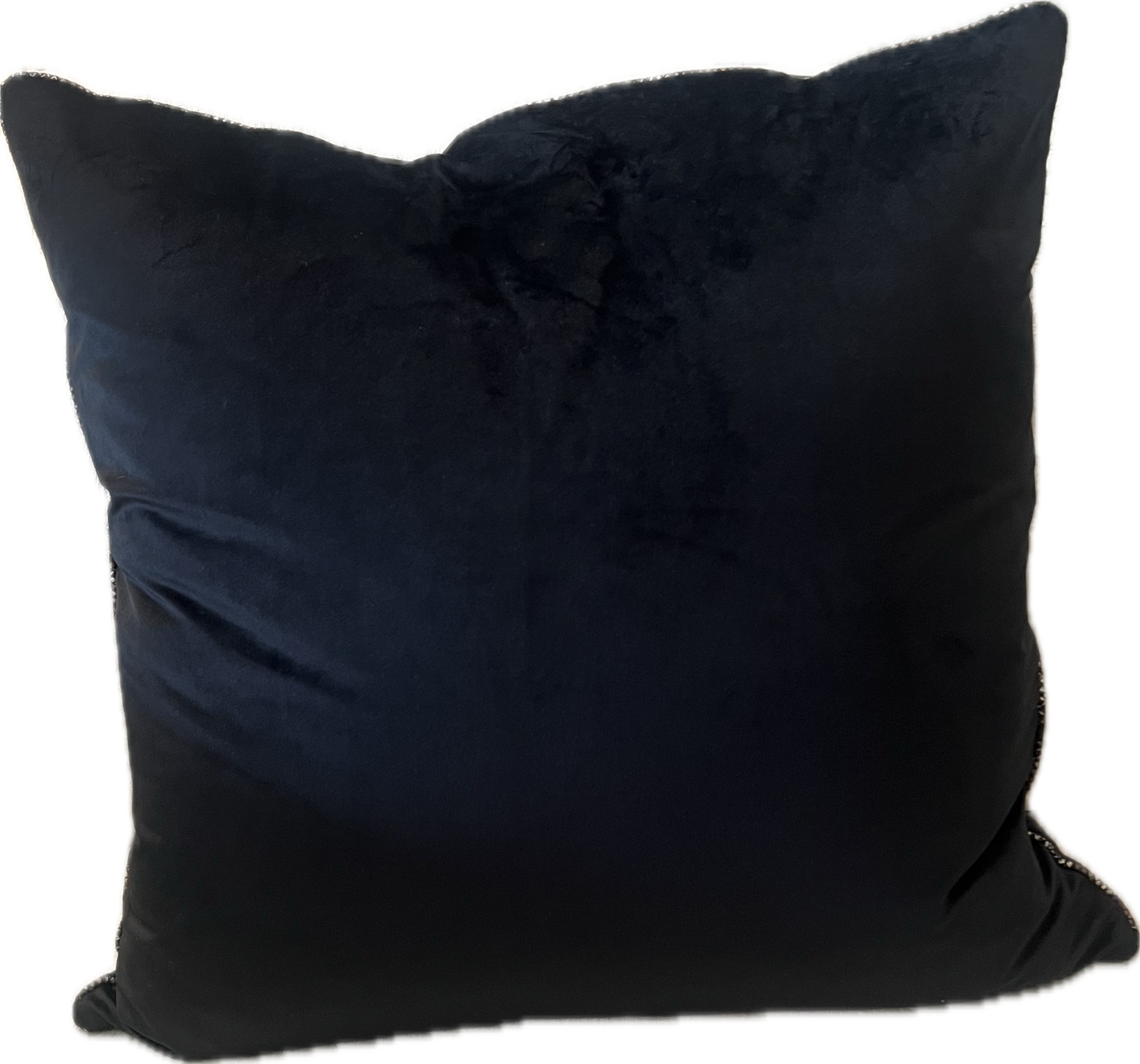 Luxe Velvet Pillow with Snakeskin Trim- A Holland & Williams Signature Collection Pillow