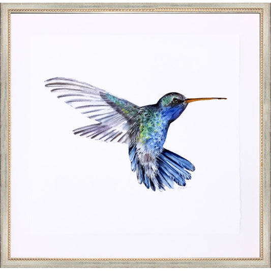 Hummingbird Prints