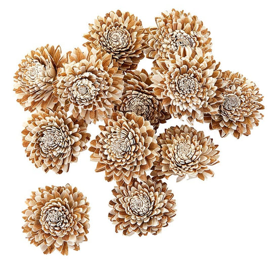 Dried Shola Star- Botanical Decor