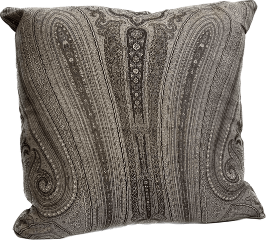 Julia 22"x22" Charcoal Paisley Pillow